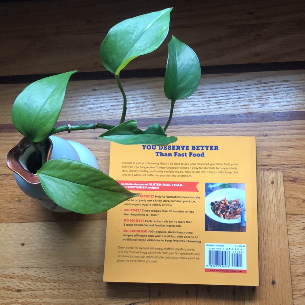 New 5 Ingredient Easy Healthy Recipes College Cookbook by Pamela Ellgen - Picture 2 of 2